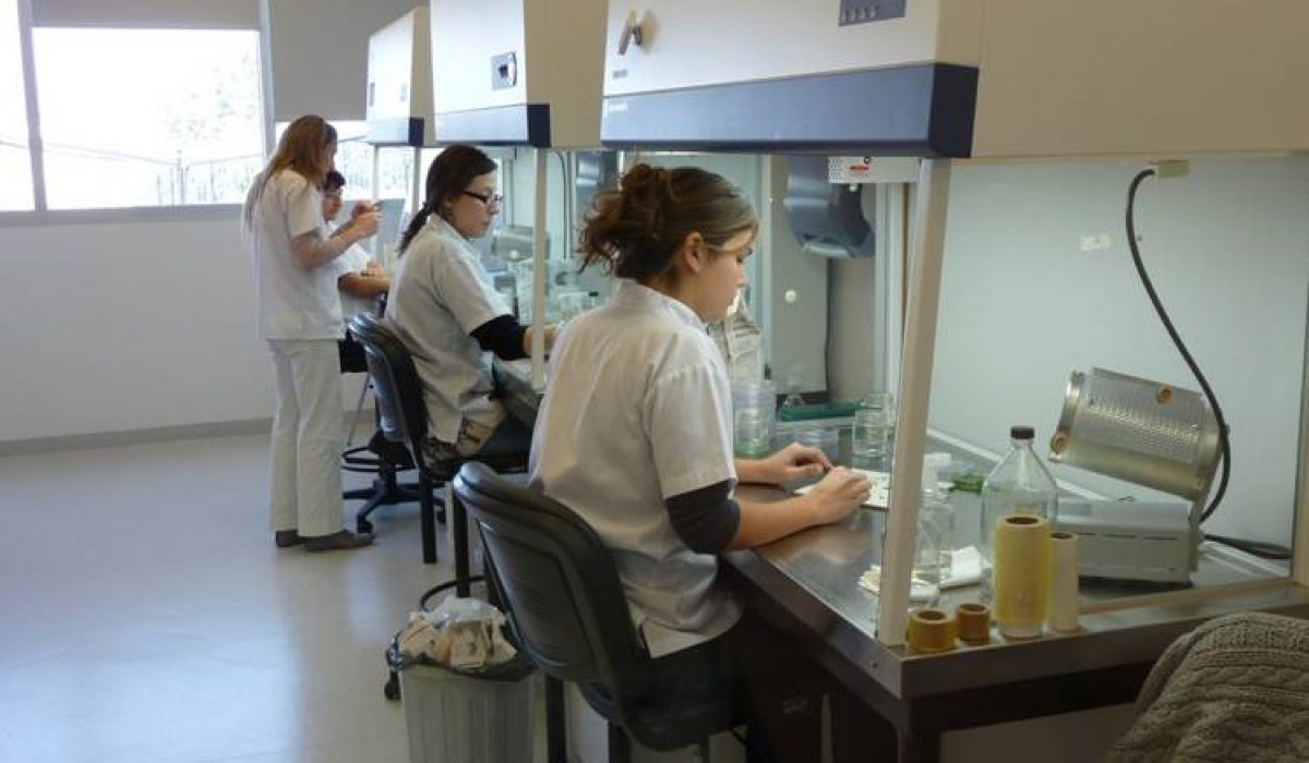 La provincia de Santa Fe cuenta con diez institutos de investigación biotecnológica, como el Indear y el IAL. Fuente: Clarín Rural